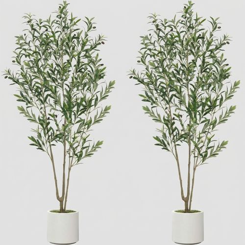 Olive Trees Artificial Indoor